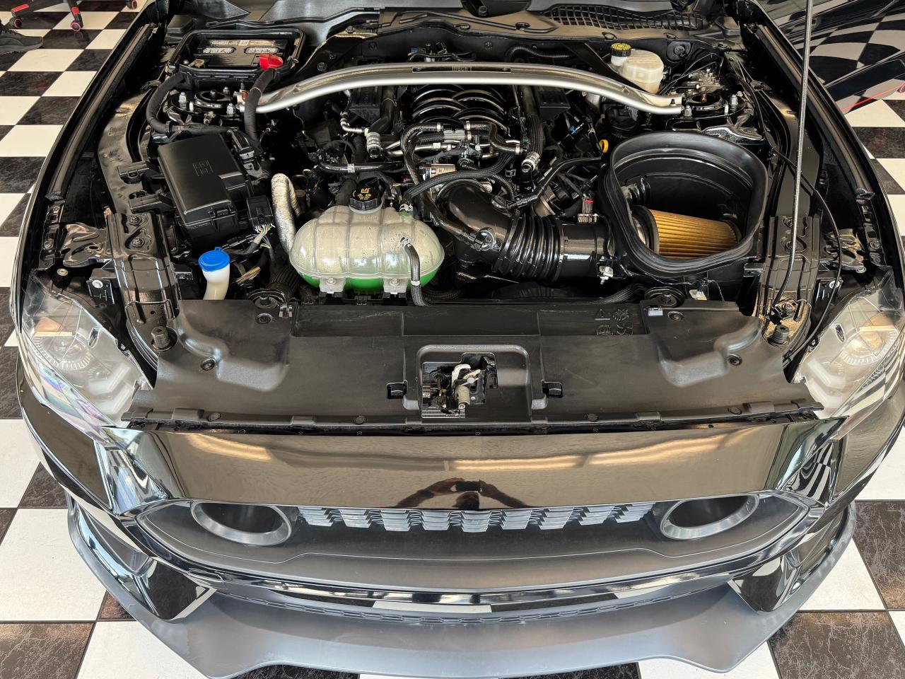 2022 Ford Mustang 5.0L V8 Mach 1 Fastback+6 Speed *ONLY 3000 KMS** - Photo #13