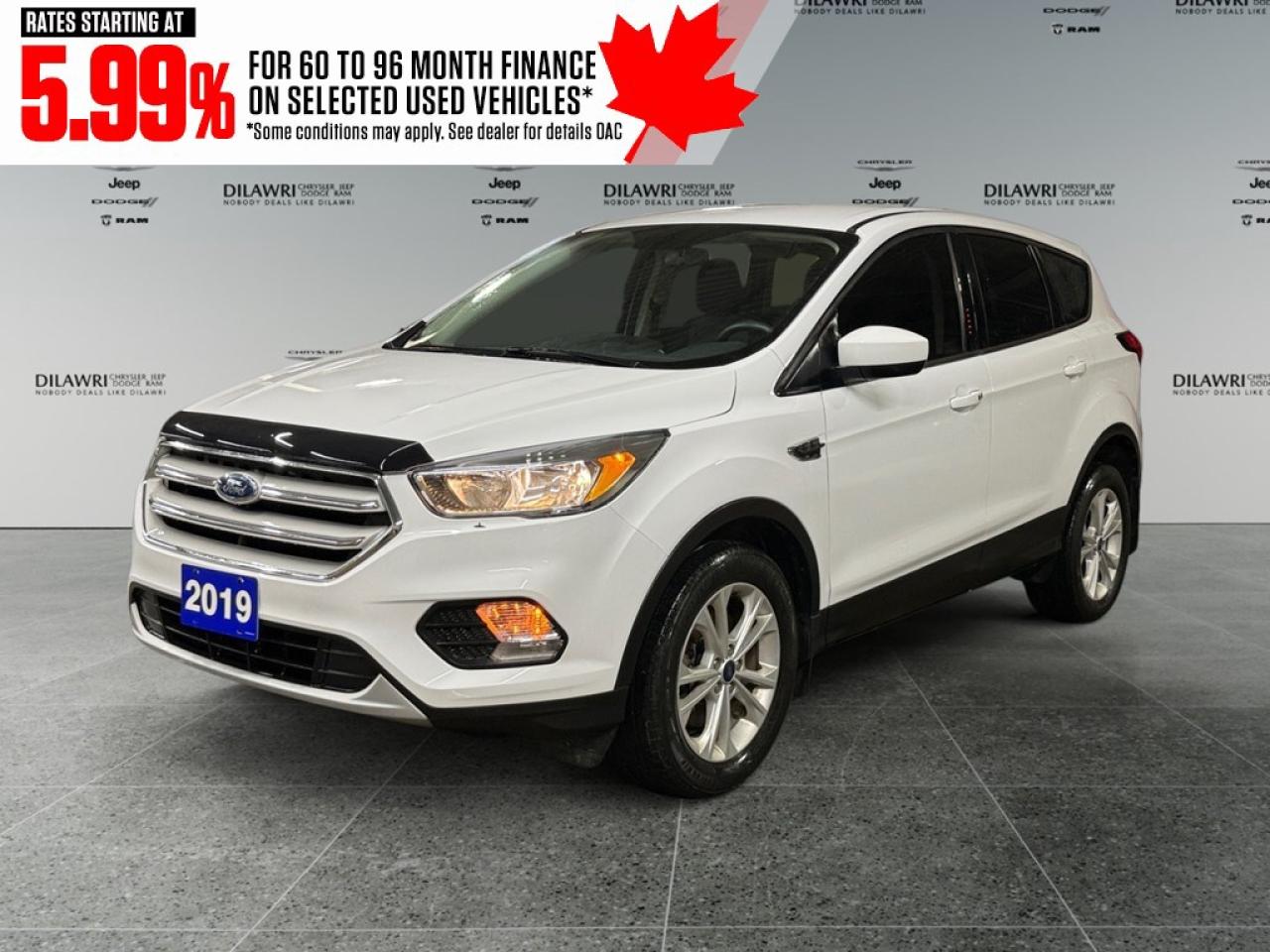 Used 2019 Ford Escape SE 4WD for sale in Nepean, ON