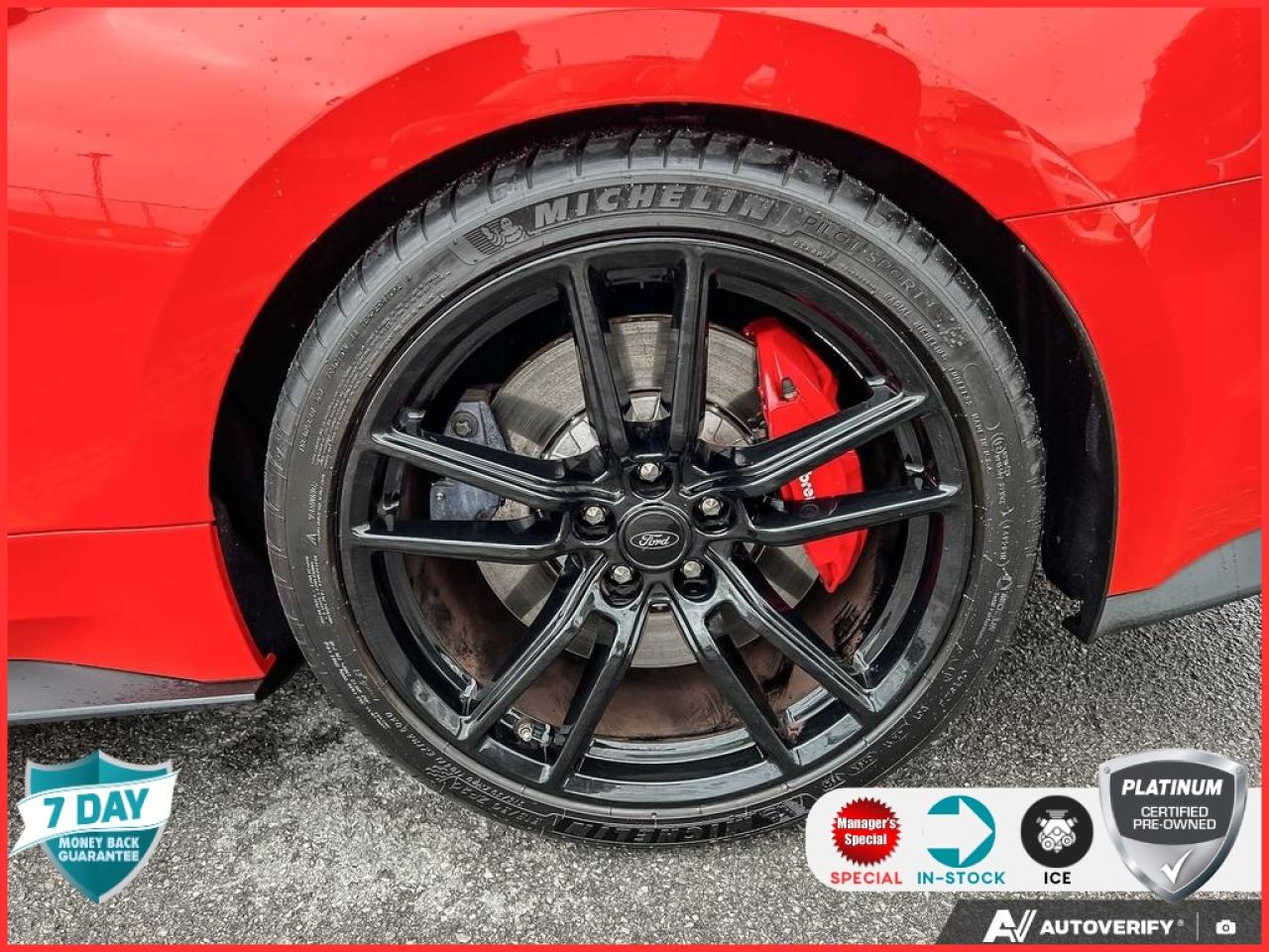 2022 Ford Mustang Shelby GT500 GT 500 TECH PKG HANDLING PKG NO ACCIDENTS CERTIFIE Photo