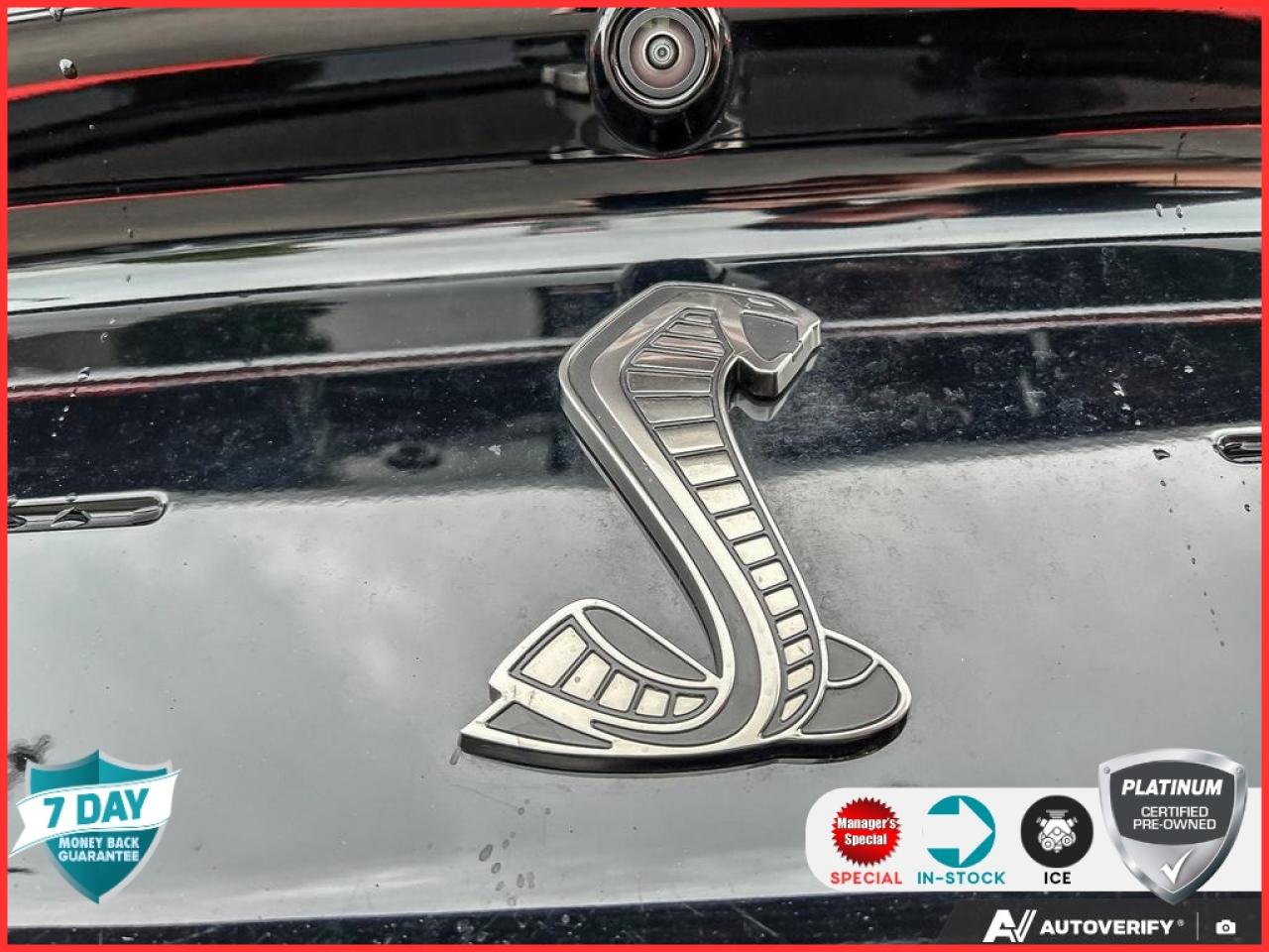 2022 Ford Mustang Shelby GT500 GT 500 TECH PKG HANDLING PKG NO ACCIDENTS CERTIFIE Photo