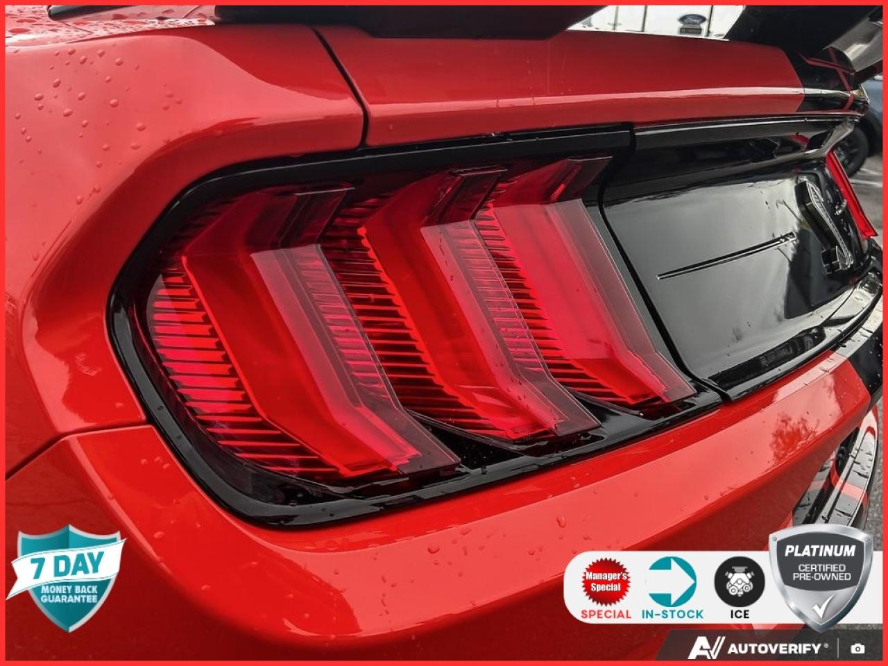 2022 Ford Mustang Shelby GT500 GT 500 TECH PKG HANDLING PKG NO ACCIDENTS CERTIFIE Photo