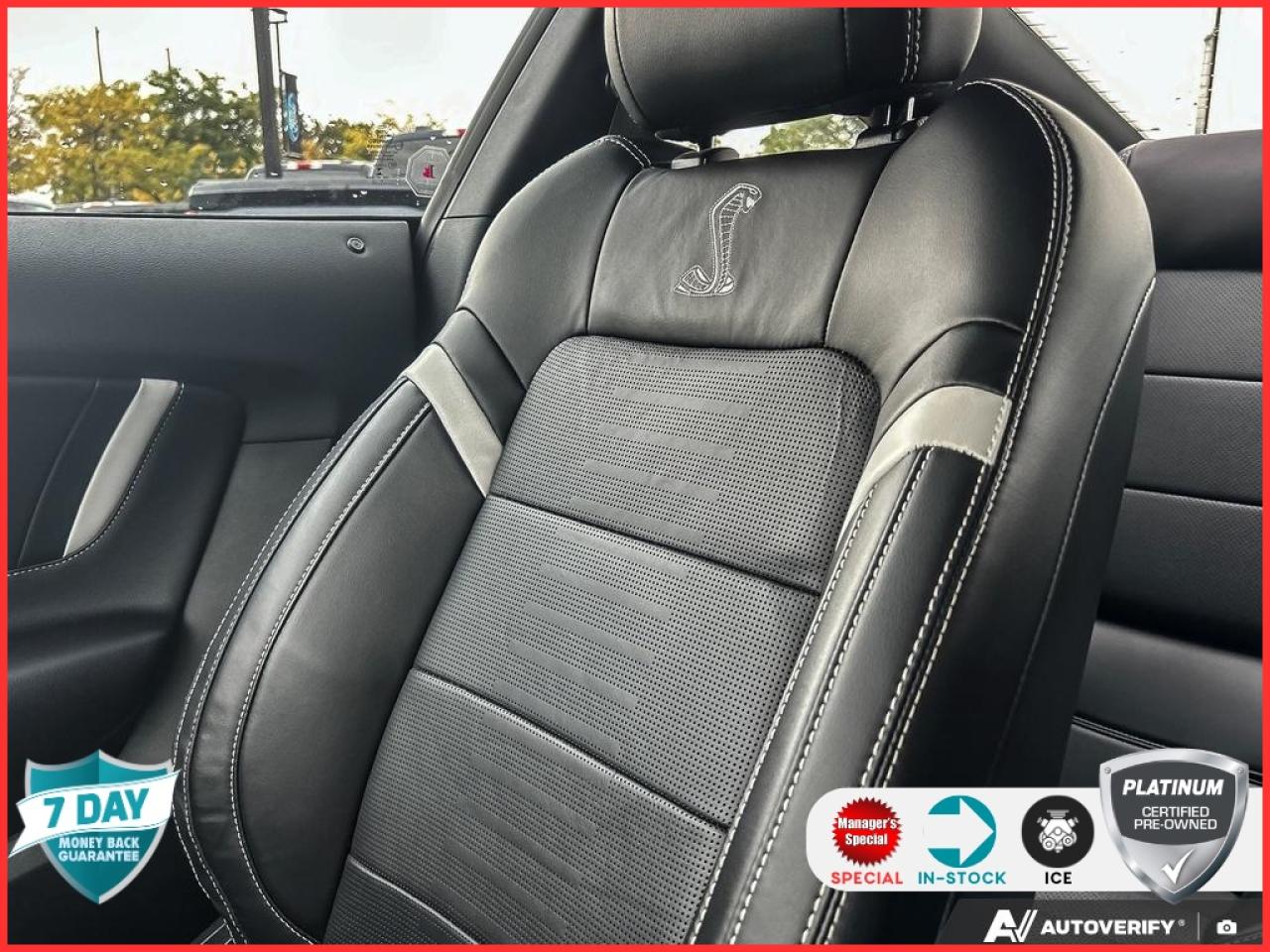 2022 Ford Mustang Shelby GT500 GT 500 TECH PKG HANDLING PKG NO ACCIDENTS CERTIFIE Photo