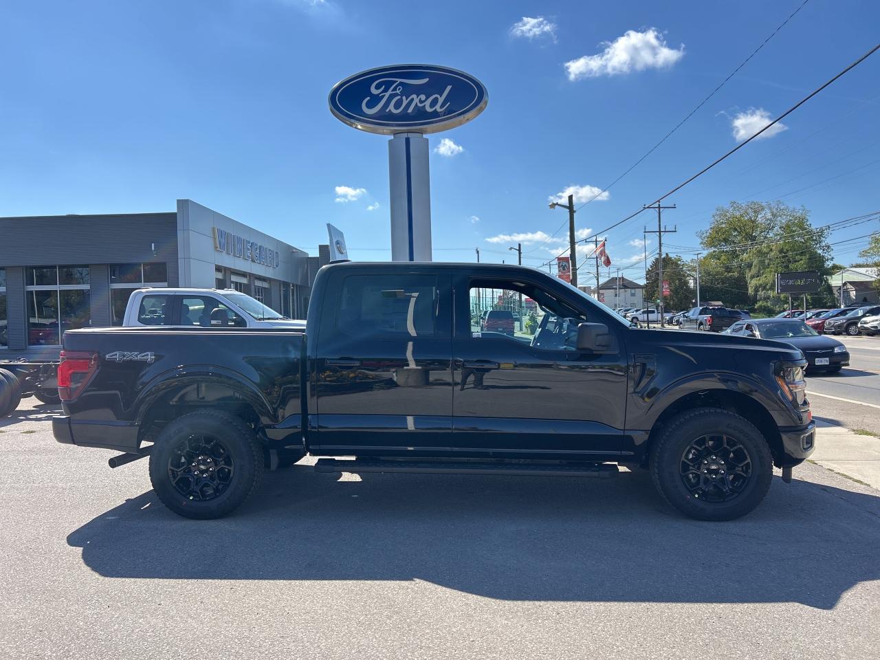 2025 Ford F-150 XLT Photo3