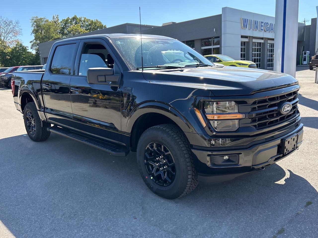 2025 Ford F-150 XLT Photo2