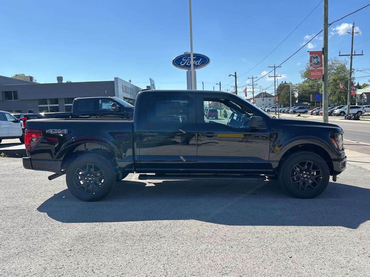 2025 Ford F-150 STX Photo3