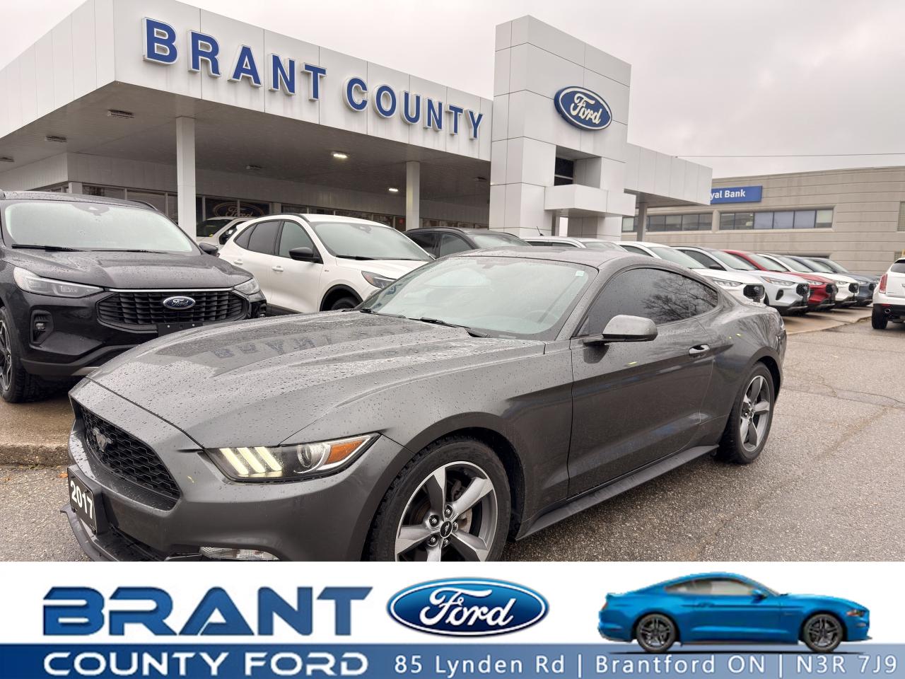 2017 Ford Mustang 2DR FASTBACK V6 Photo0