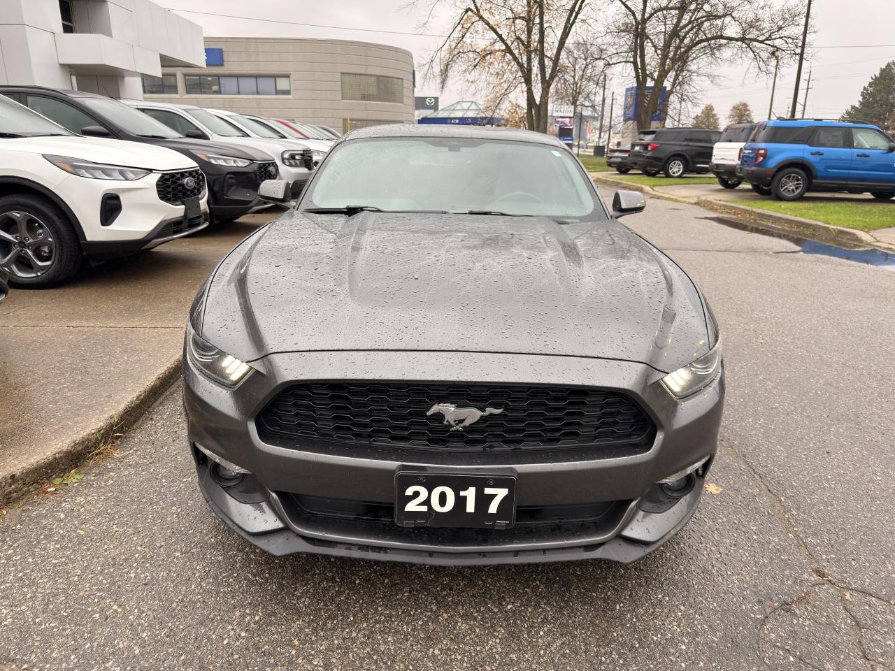 2017 Ford Mustang 2DR FASTBACK V6 Photo2