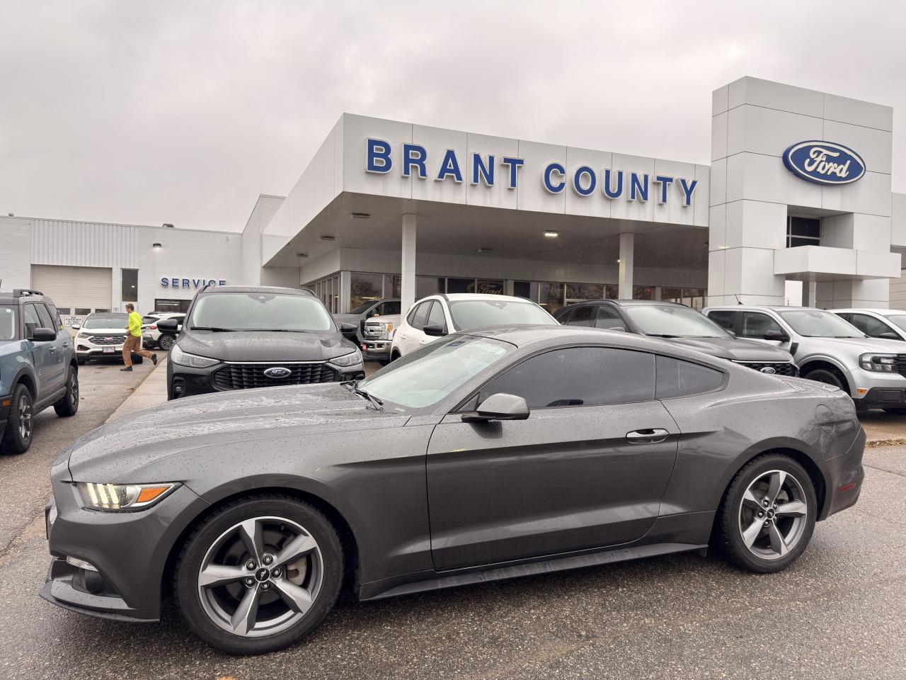 2017 Ford Mustang 2DR FASTBACK V6 Photo3