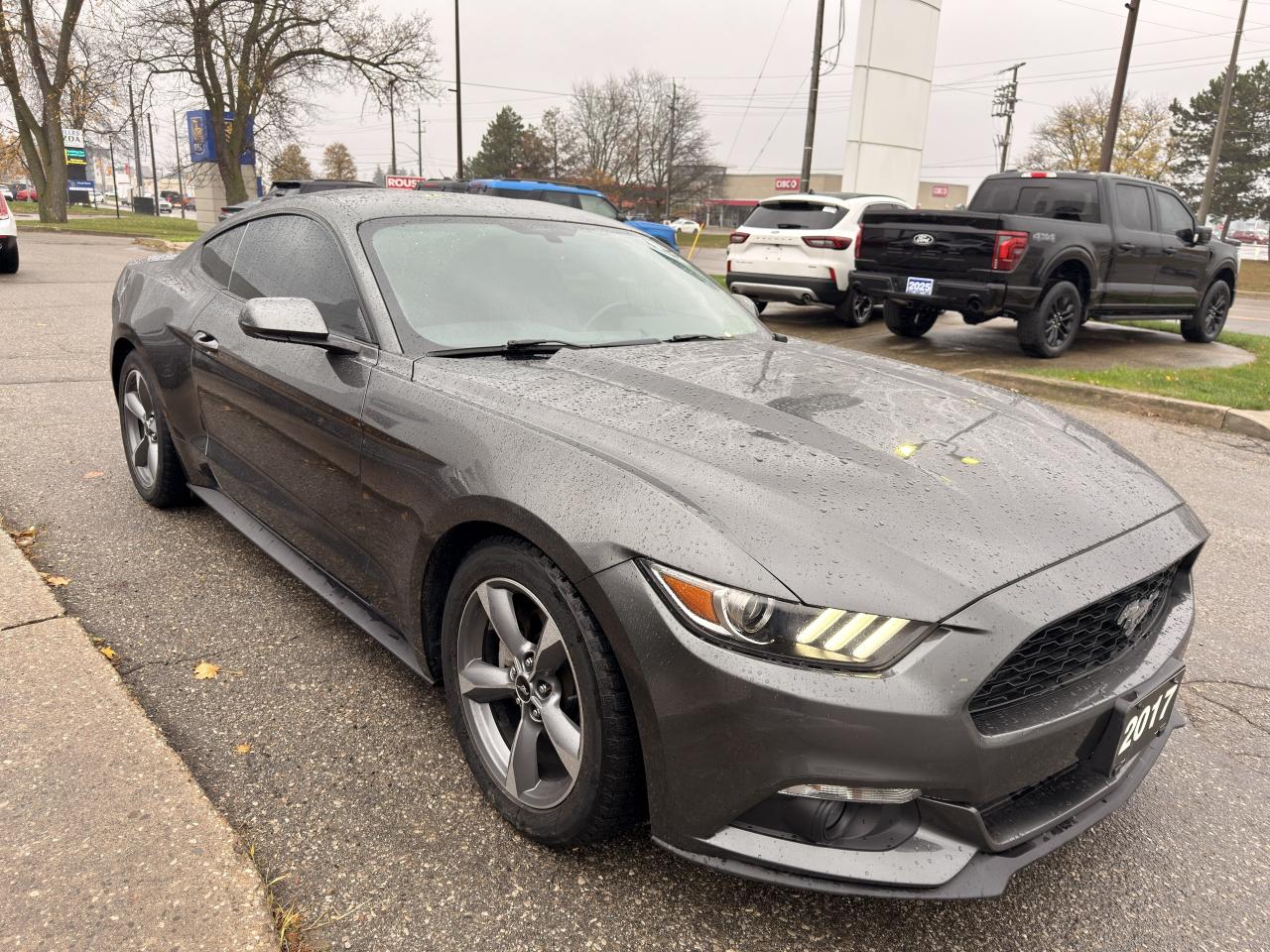 2017 Ford Mustang 2DR FASTBACK V6 Photo