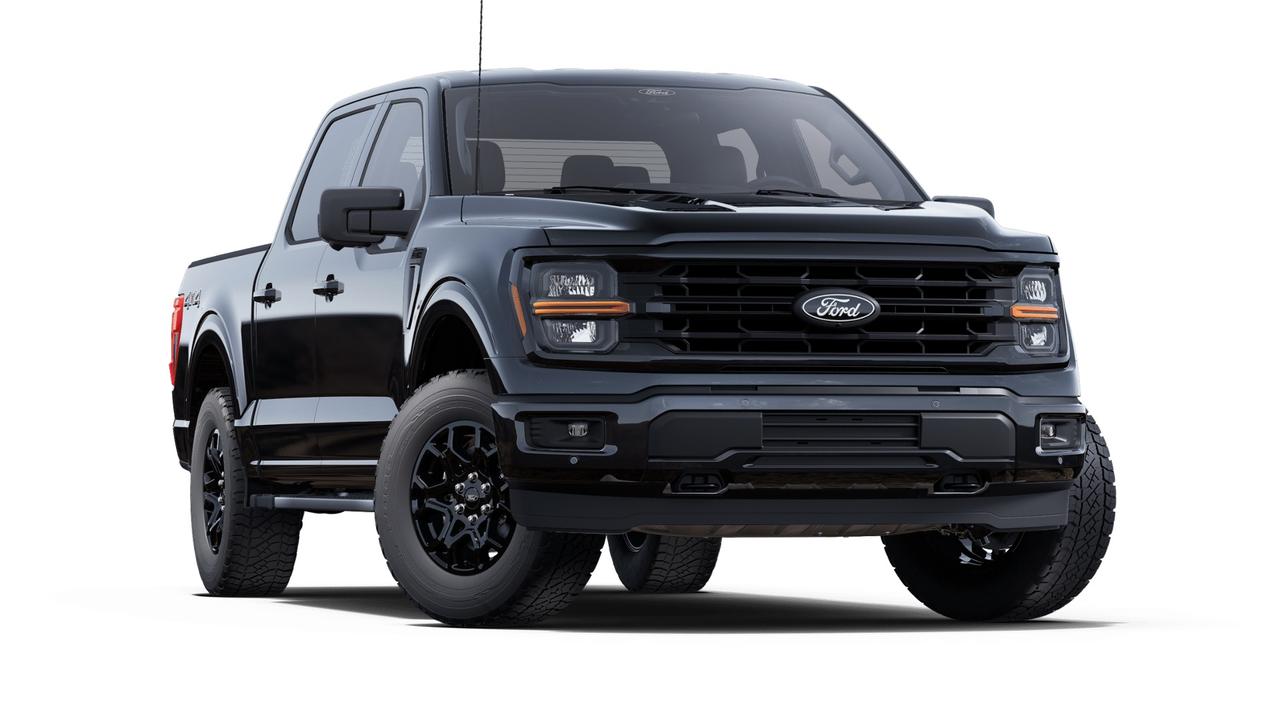 2025 Ford F-150 XLT 4WD SuperCrew 5.5' Box Photo5
