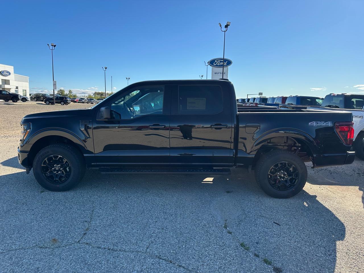 2025 Ford F-150 XLT 4WD SuperCrew 5.5' Box 301A Photo5