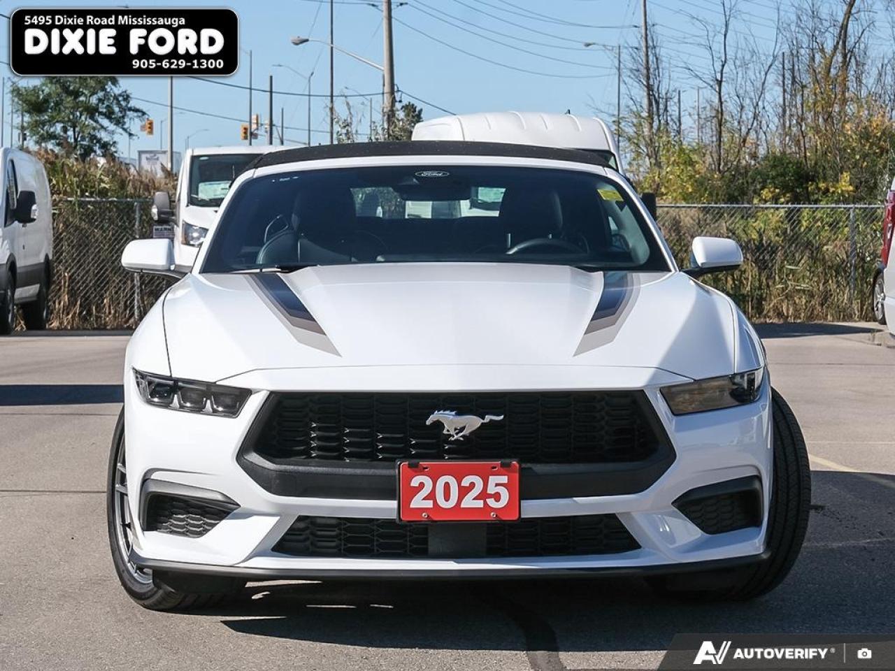 2025 Ford Mustang EcoBoost Premium Photo