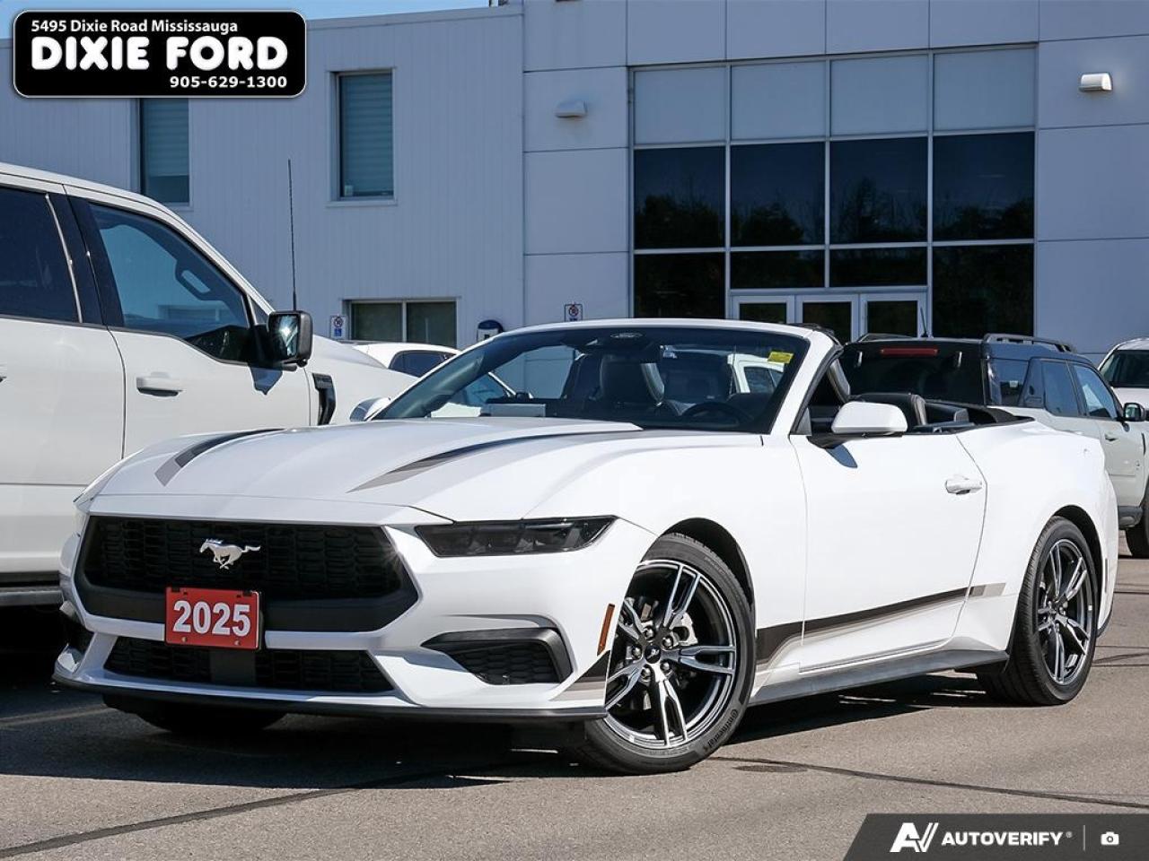 2025 Ford Mustang EcoBoost Premium Photo