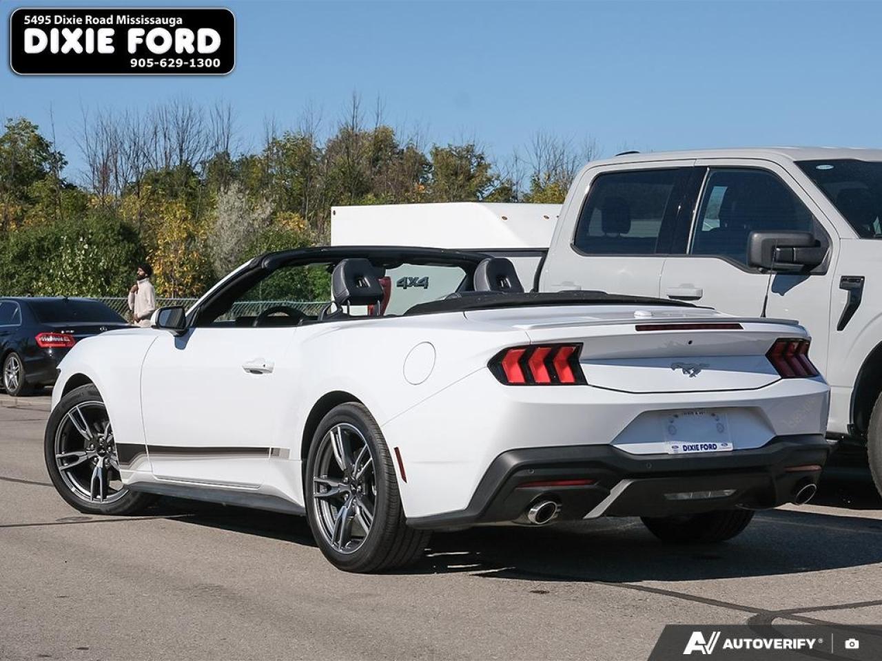 2025 Ford Mustang EcoBoost Premium Photo