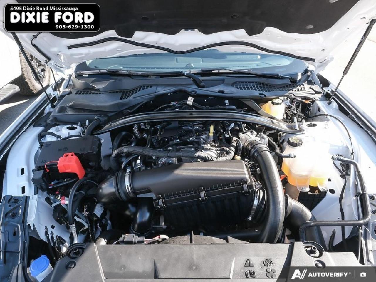 2025 Ford Mustang EcoBoost Premium Photo