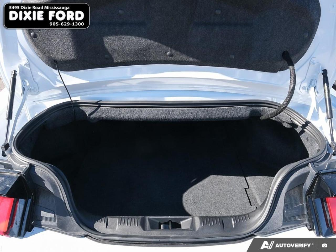 2025 Ford Mustang EcoBoost Premium Photo