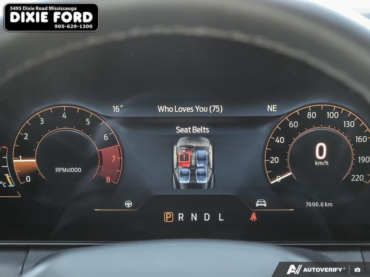 2025 Ford Mustang EcoBoost Premium Photo