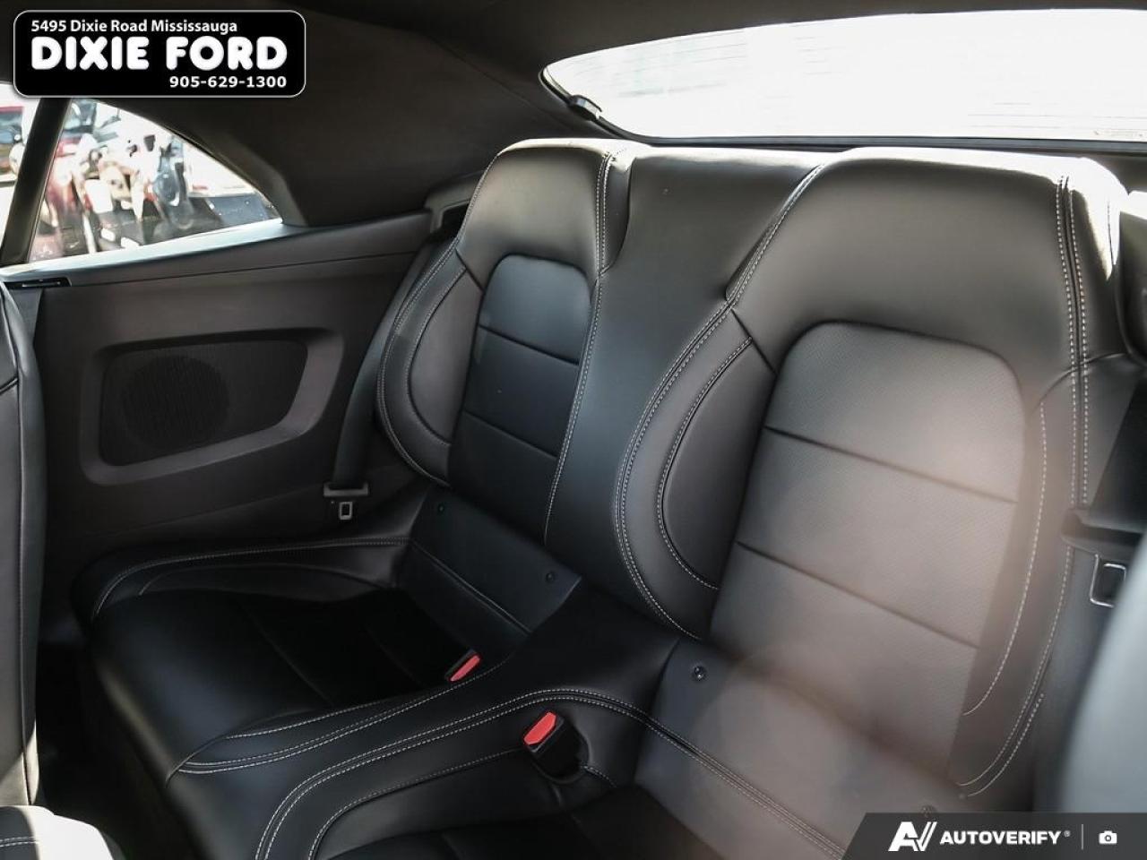 2025 Ford Mustang EcoBoost Premium Photo