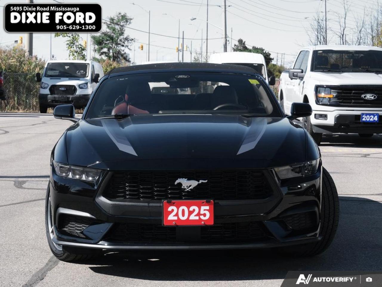 2025 Ford Mustang EcoBoost Premium Photo