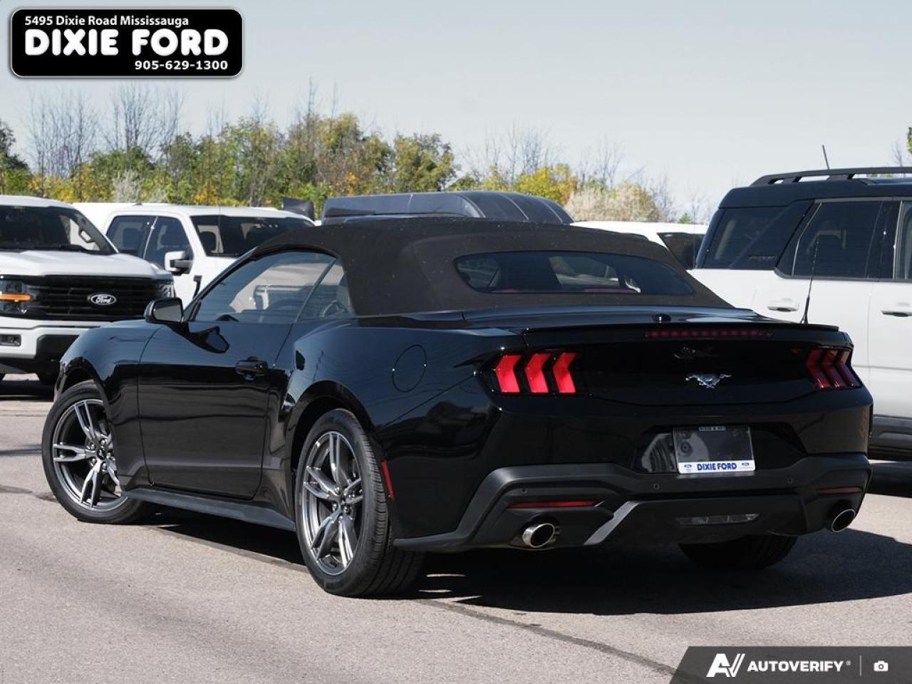 2025 Ford Mustang EcoBoost Premium Photo3
