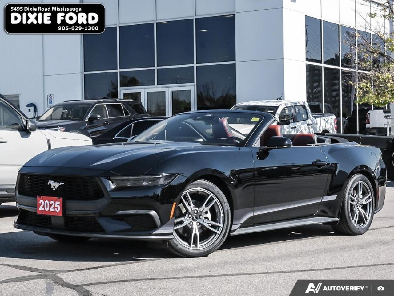2025 Ford Mustang EcoBoost Premium Photo