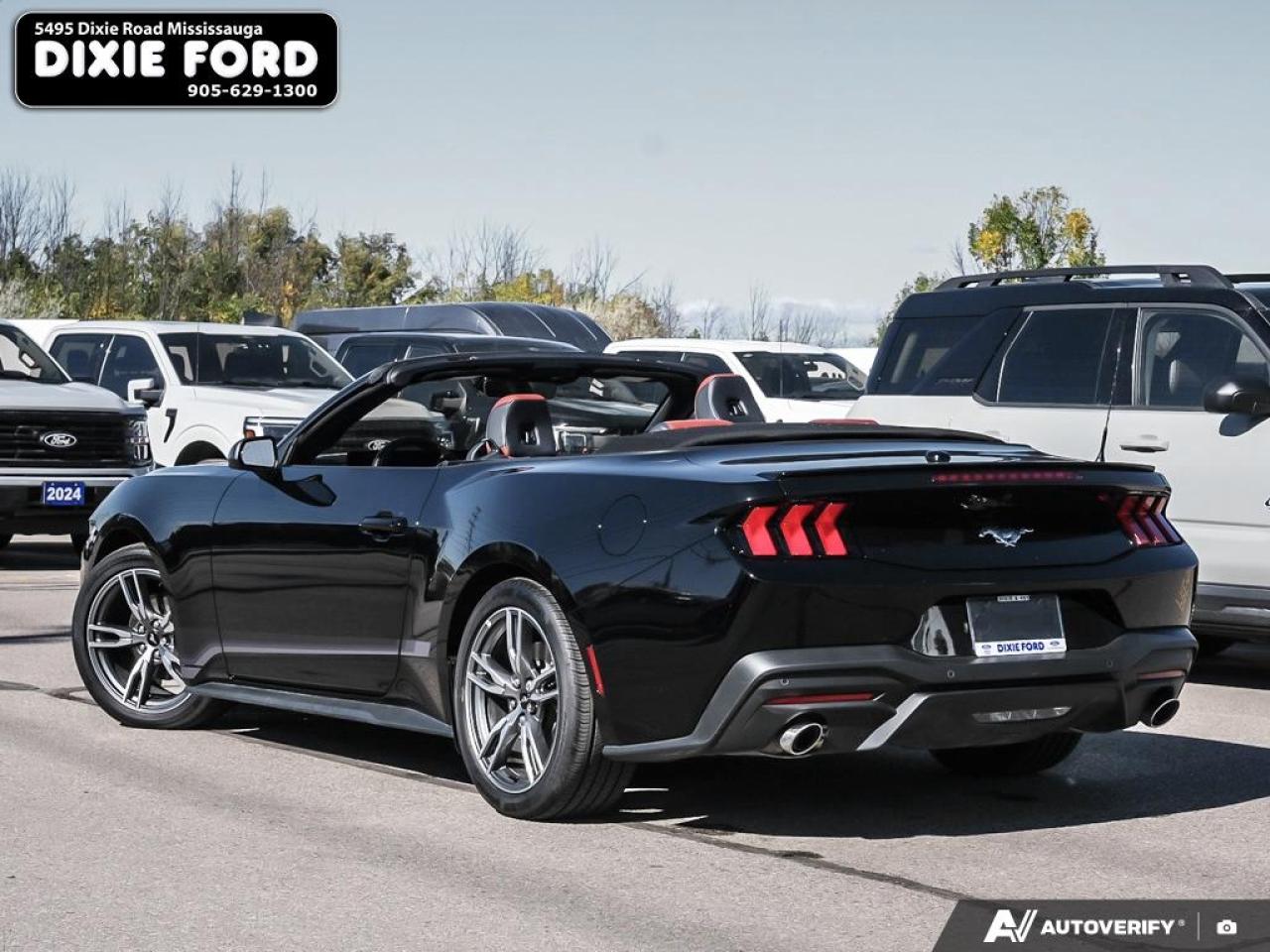 2025 Ford Mustang EcoBoost Premium Photo