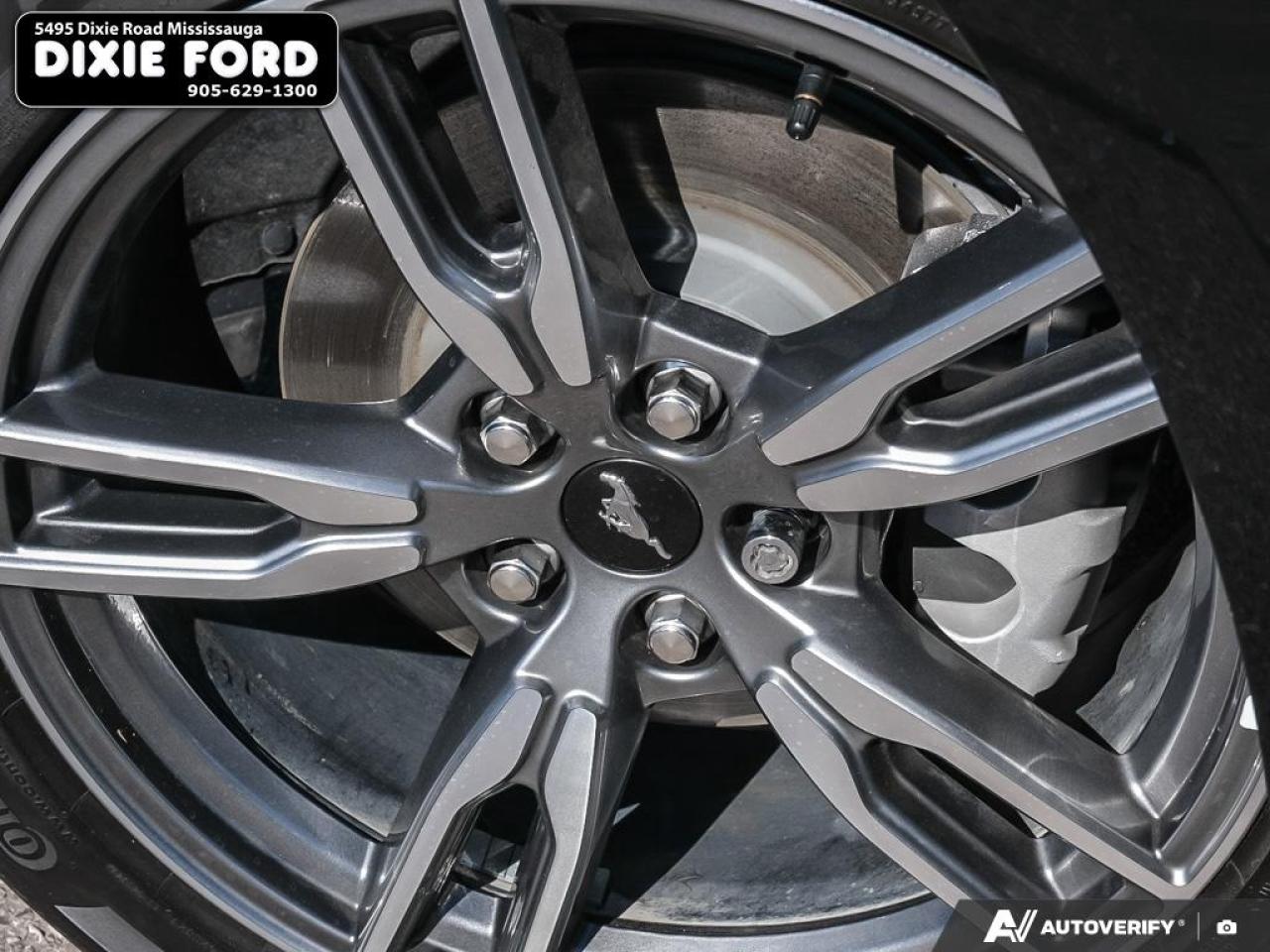 2025 Ford Mustang EcoBoost Premium Photo