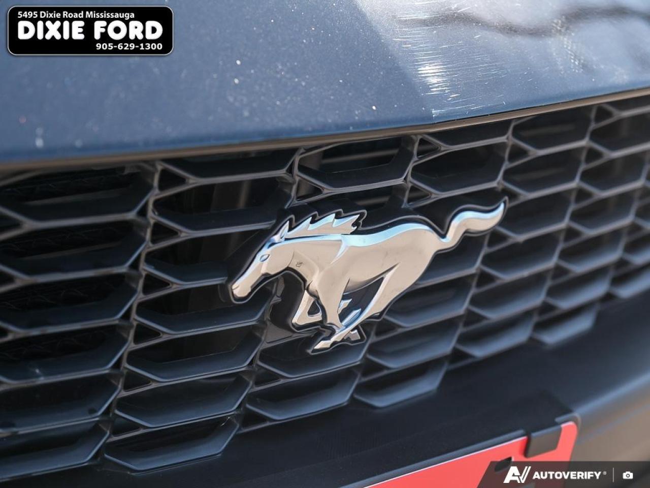 2025 Ford Mustang EcoBoost Premium Photo