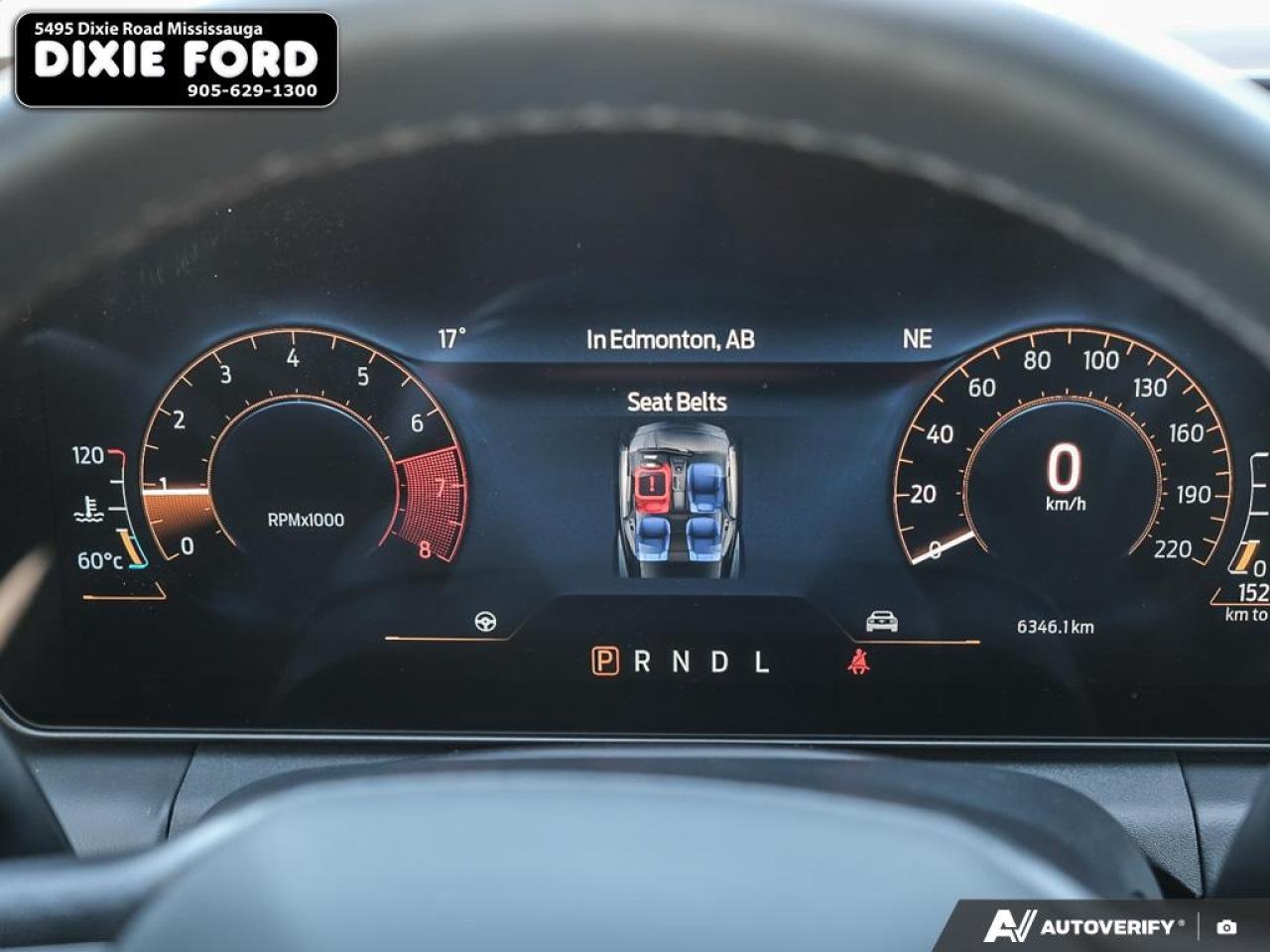 2025 Ford Mustang EcoBoost Premium Photo