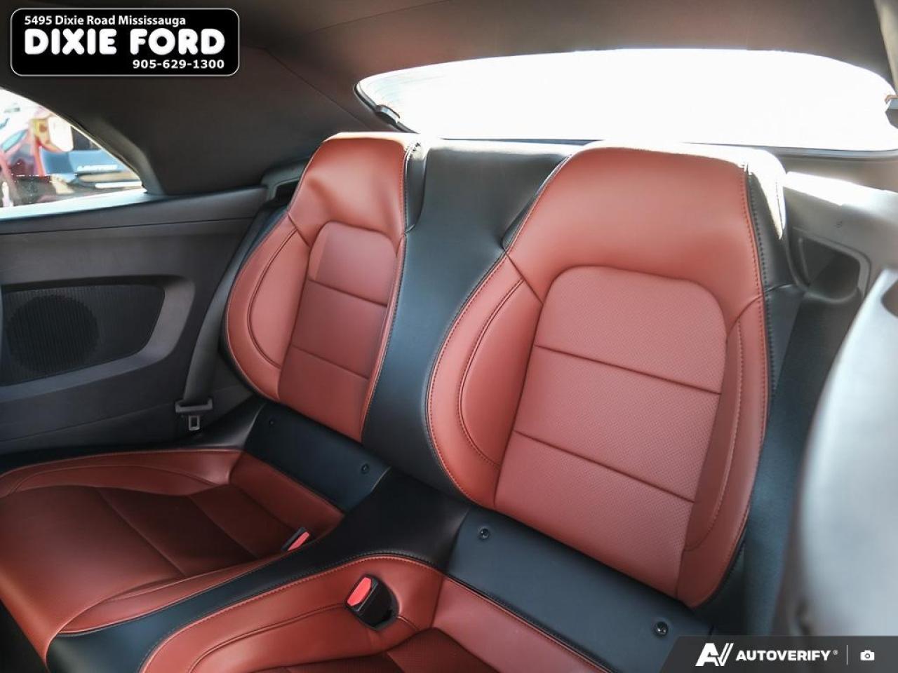 2025 Ford Mustang EcoBoost Premium Photo