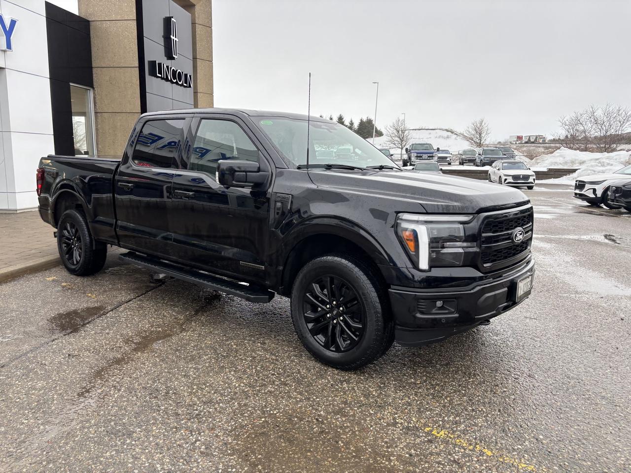 2025 Ford F-150 LARIAT 502A, 3.5LHEV, ROOF, BLACK PACKAGE, 20"RIMS Photo