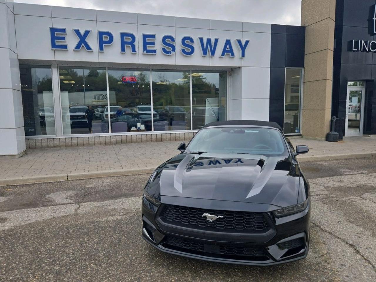 2025 Ford Mustang EcoBoost Premium Photo