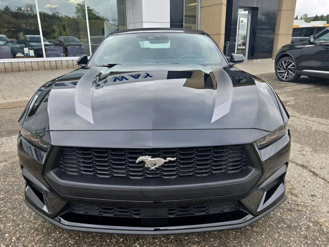 2025 Ford Mustang EcoBoost Premium Photo5
