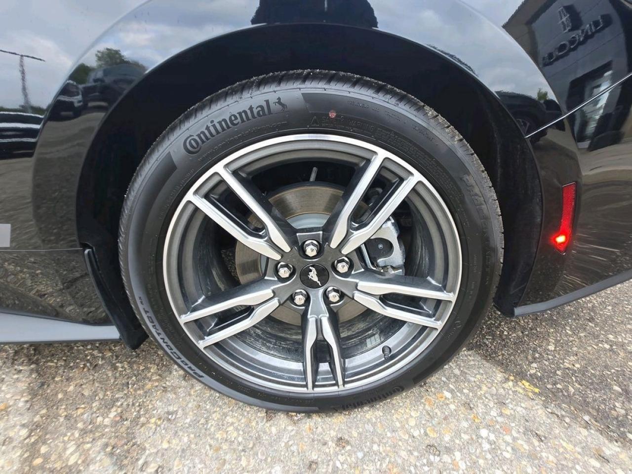 2025 Ford Mustang EcoBoost Premium Photo5