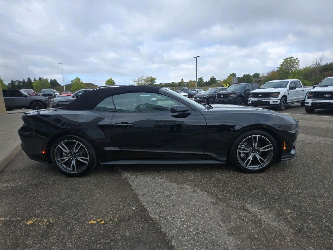 2025 Ford Mustang EcoBoost Premium Photo5
