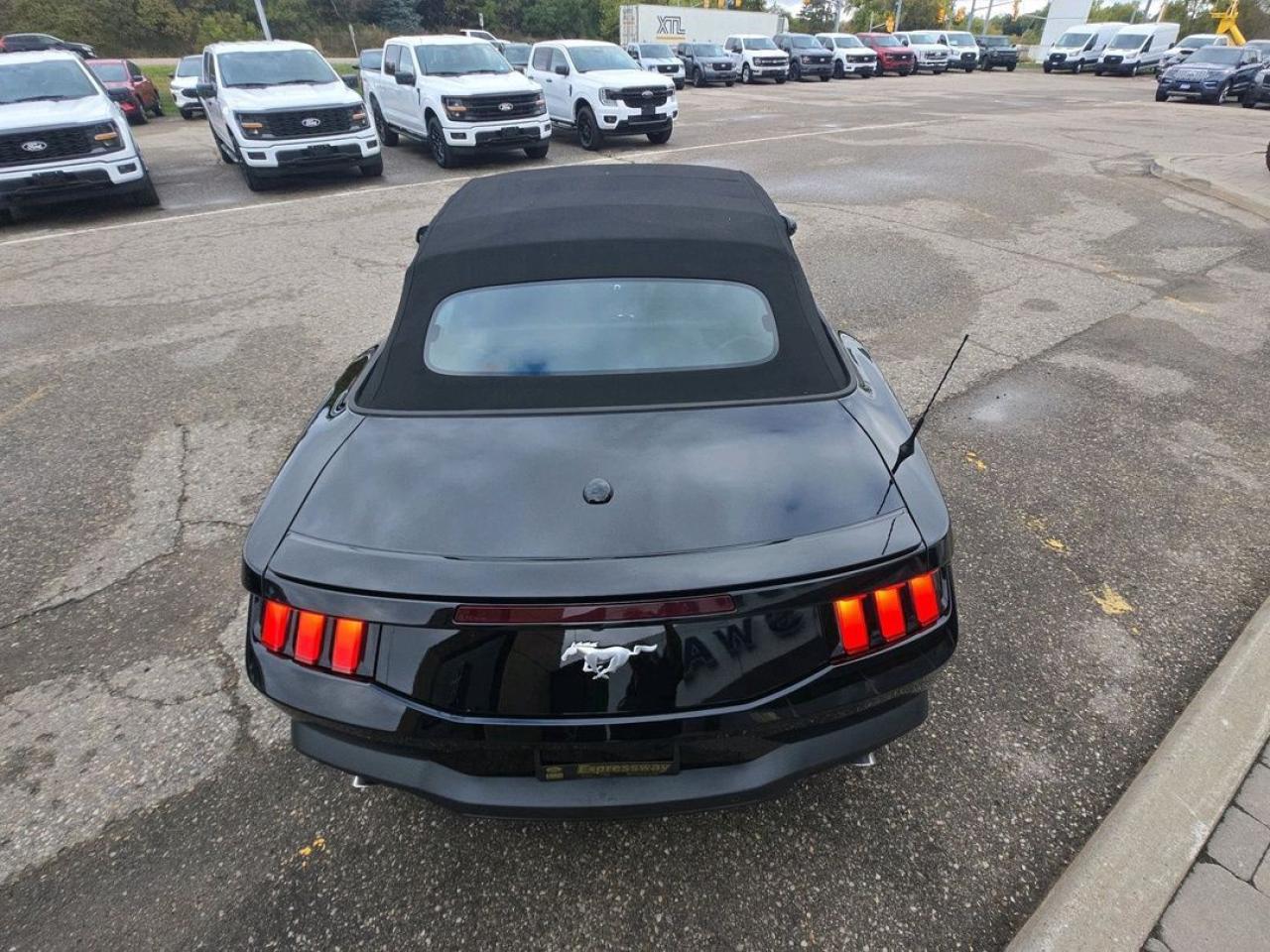 2025 Ford Mustang EcoBoost Premium Photo5