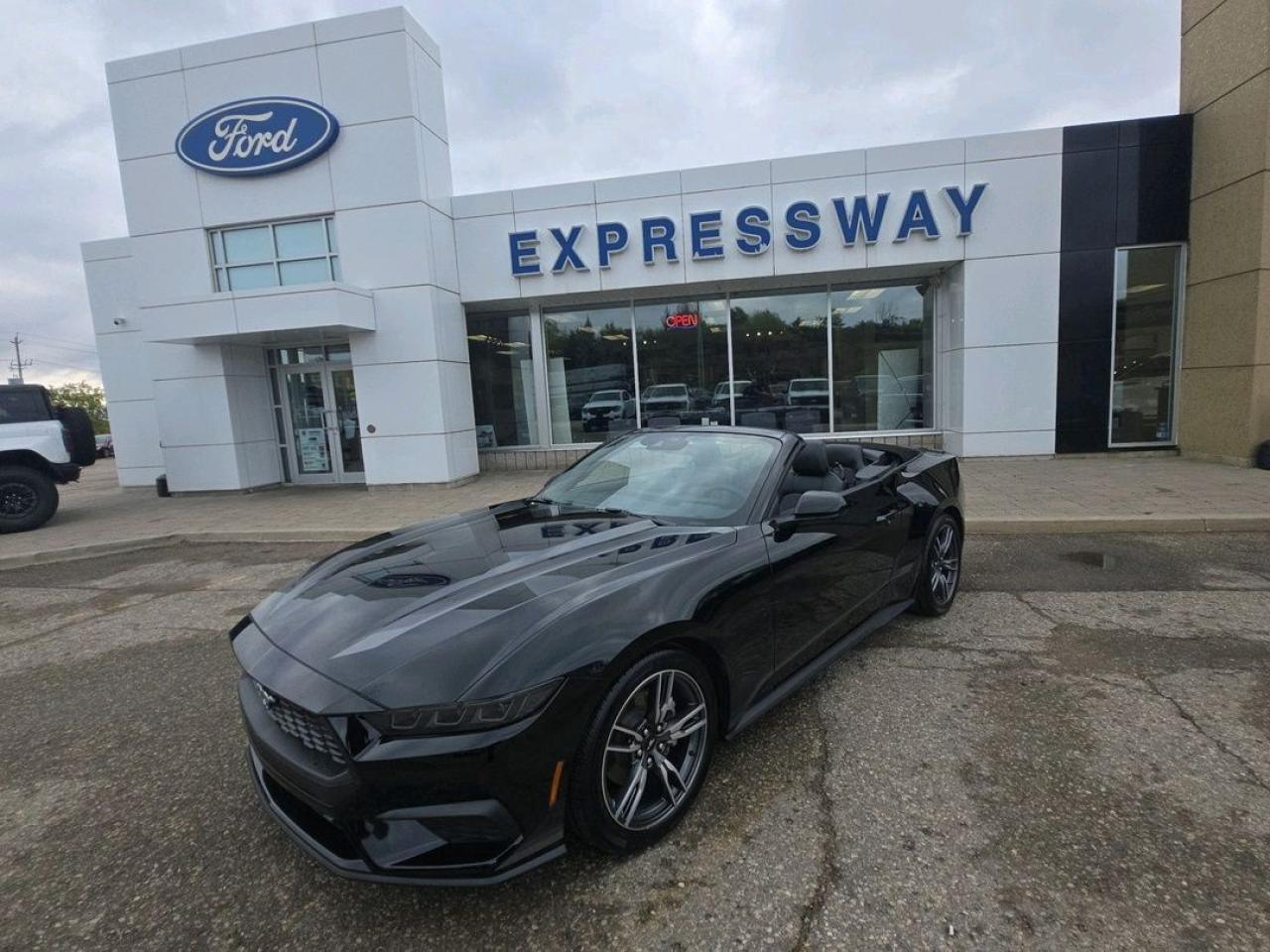 2025 Ford Mustang EcoBoost Premium Photo5