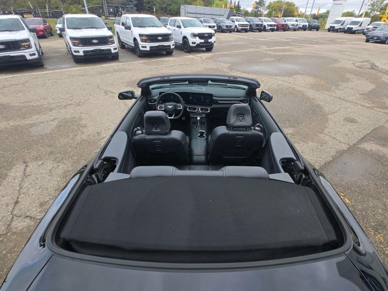 2025 Ford Mustang EcoBoost Premium Photo5