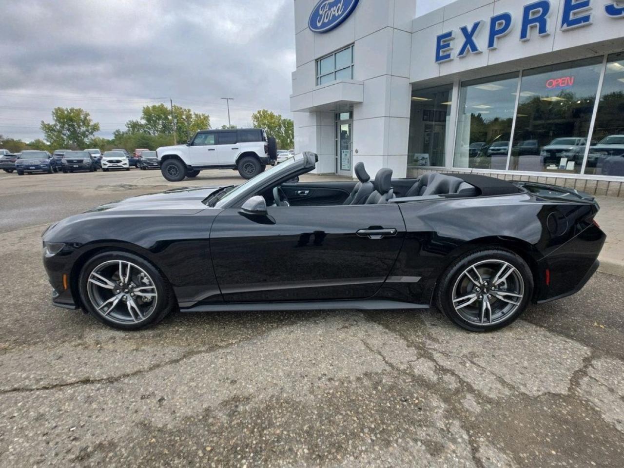 2025 Ford Mustang EcoBoost Premium Photo5