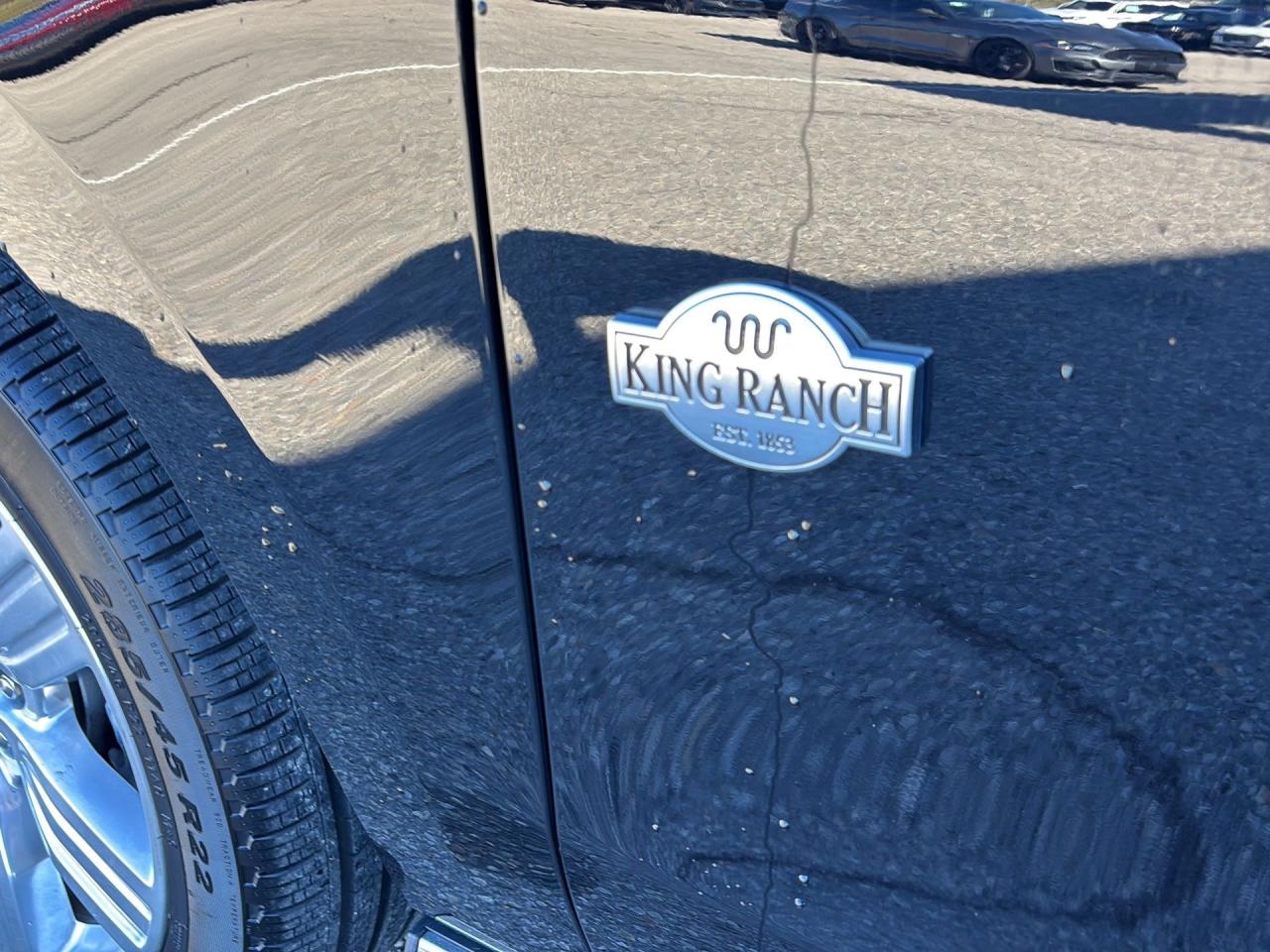 2024 Ford Expedition King Ranch Max Photo5