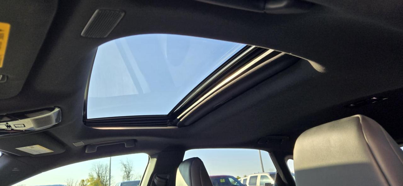 2023 Lexus RX 350H 350h Base/350h Photo