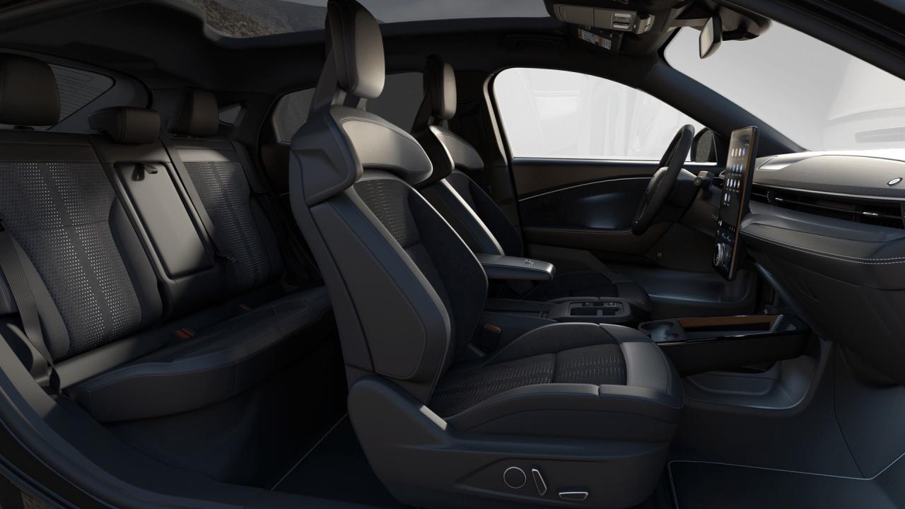 2025 Ford Mustang Mach-E GT Photo3