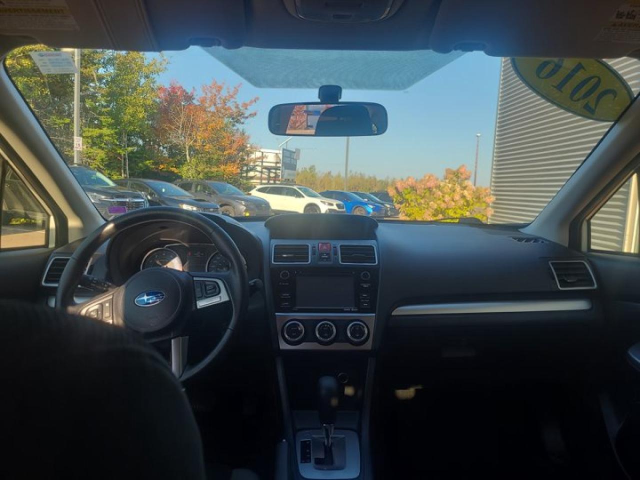 13032520
