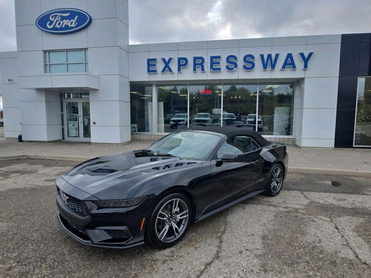 Used 2025 Ford Mustang EcoBoost Premium for sale in Stratford, ON