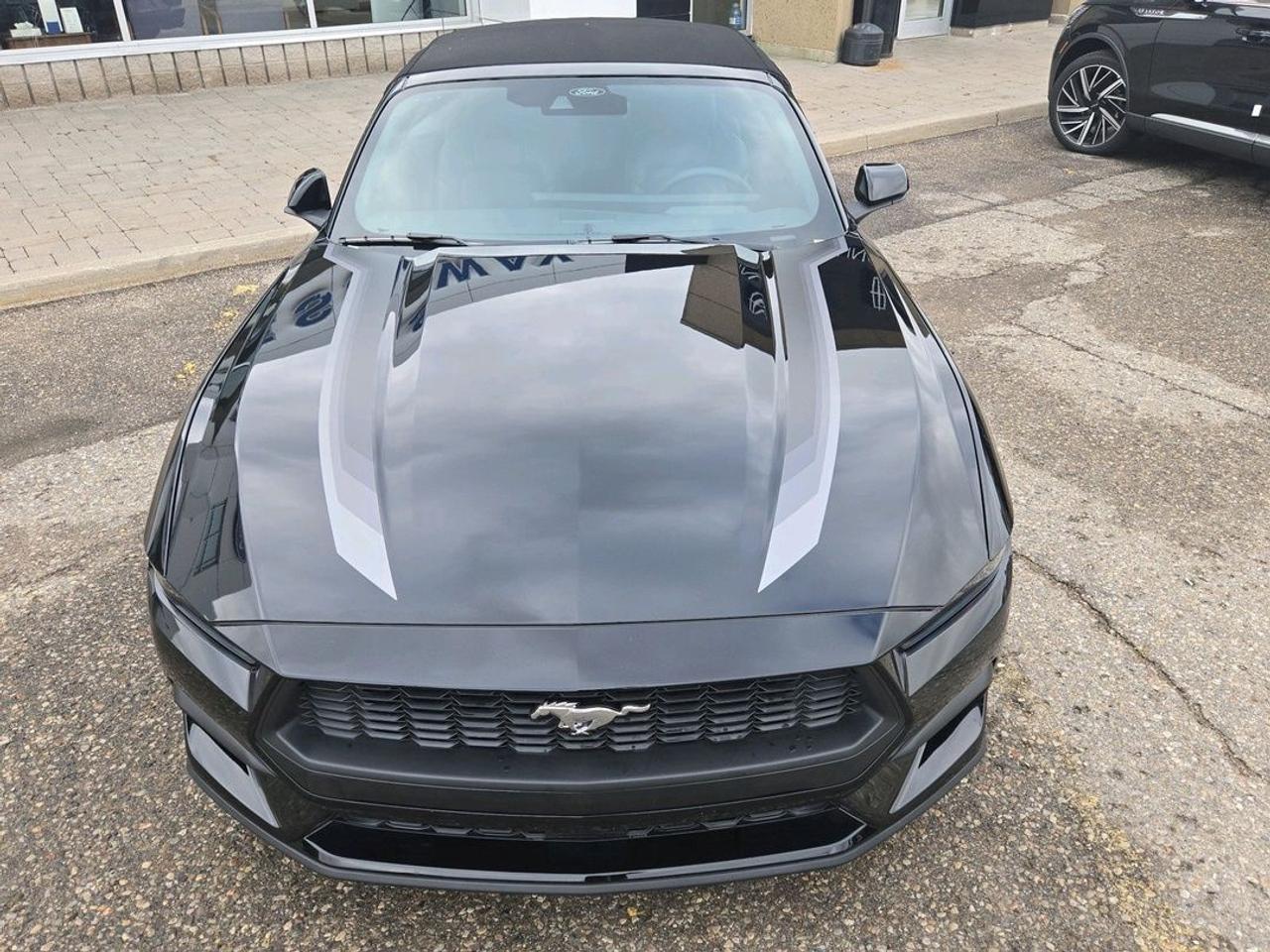 2025 Ford Mustang PREMIUM! 2.3LECOBOOST! 19" RIMS, STRIPE PACKAGE! Photo4