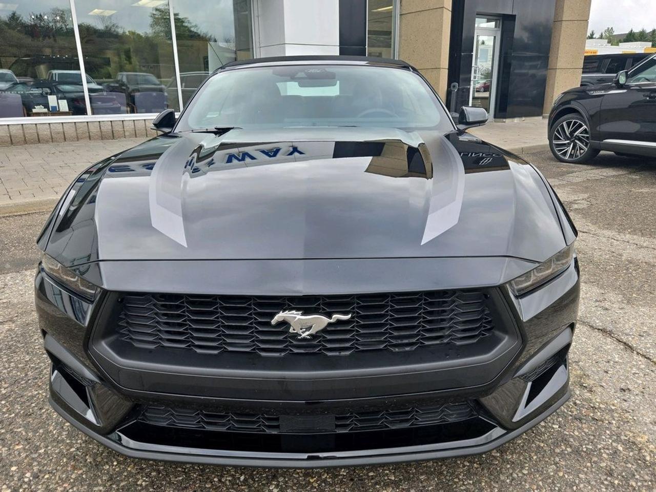 2025 Ford Mustang PREMIUM! 2.3LECOBOOST! 19" RIMS, STRIPE PACKAGE! Photo3