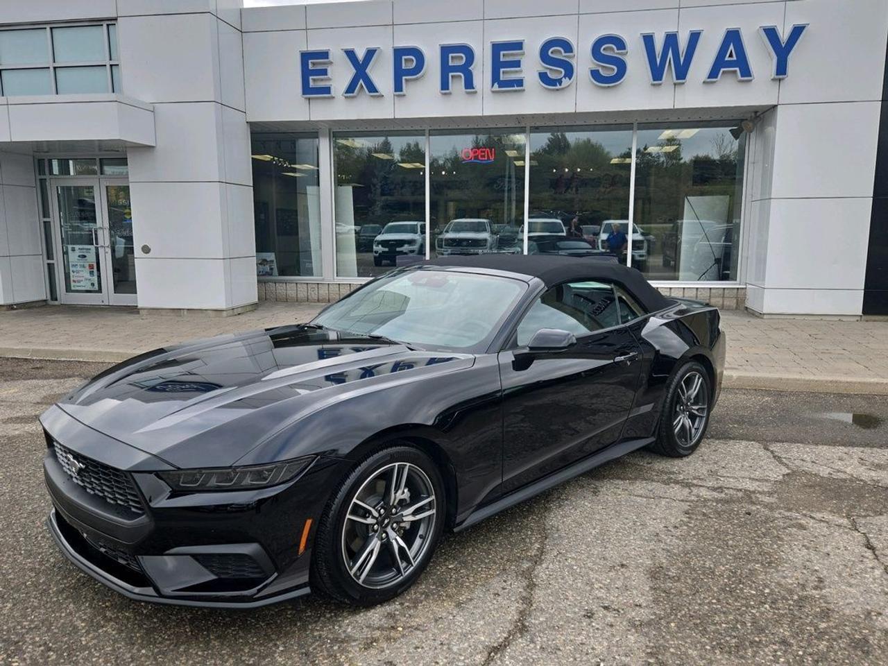 2025 Ford Mustang PREMIUM! 2.3LECOBOOST! 19" RIMS, STRIPE PACKAGE! Photo1