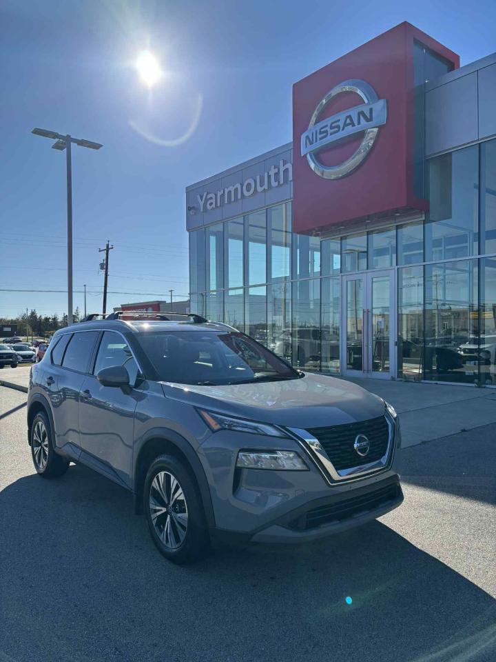 2021 Nissan Rogue SV PREMIUM Photo1