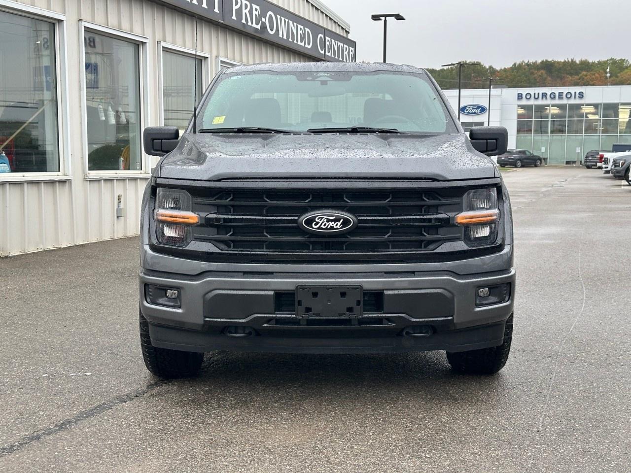 2025 Ford F-150 XLT 4WD SuperCrew 5.5' Box Photo2