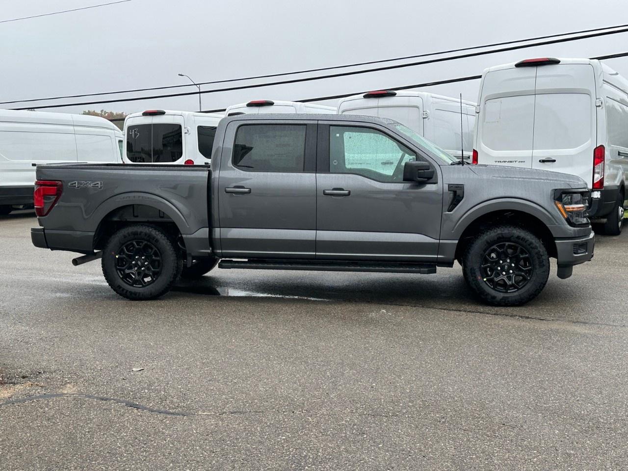 2025 Ford F-150 XLT 4WD SuperCrew 5.5' Box Photo4